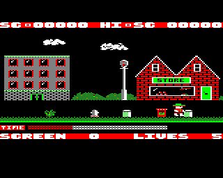 Image in-game