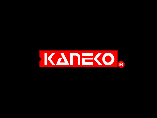 Super Kaneko Nova System BIOS