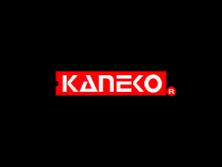 Super Kaneko Nova System BIOS