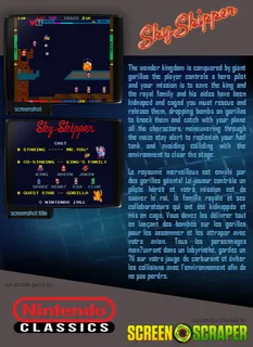 Sky Skipper - Dos