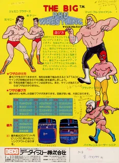 Tag Team Wrestling - Dos