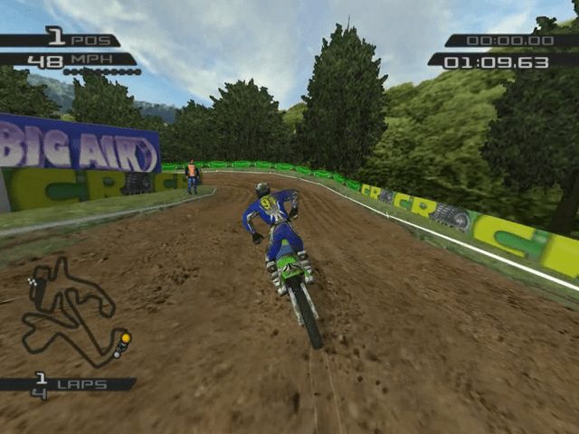 Image in-game
