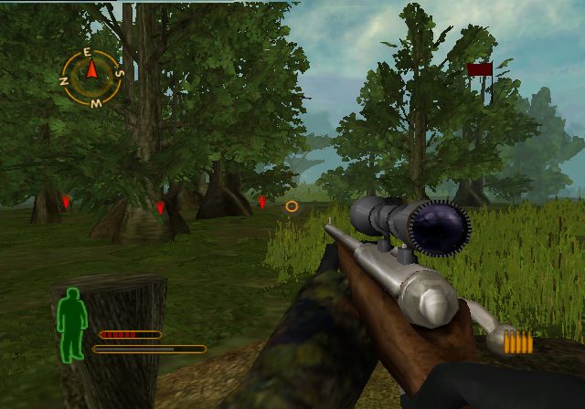 Image in-game