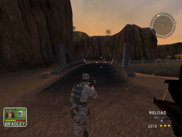 Image in-game