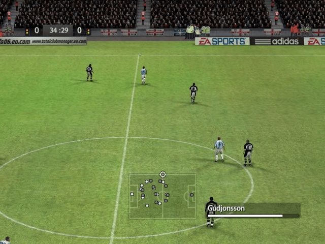 Image in-game