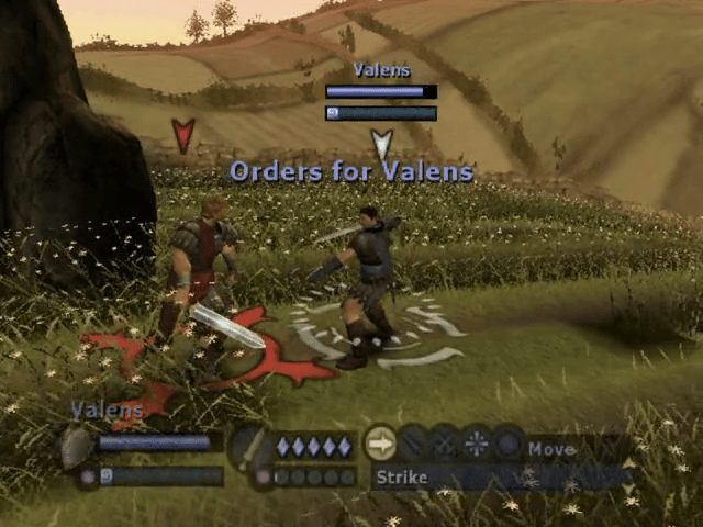 Image in-game