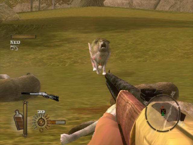 Image in-game