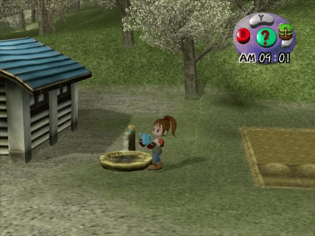 Image in-game