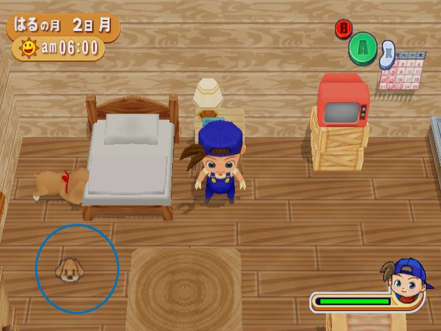 Image in-game