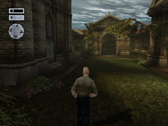 Image in-game