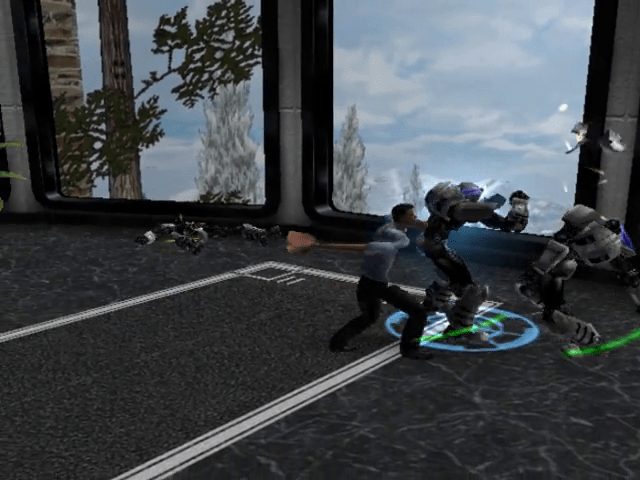 Image in-game