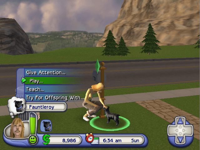 Image in-game