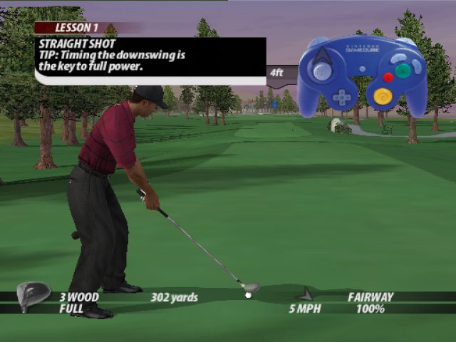 Image in-game