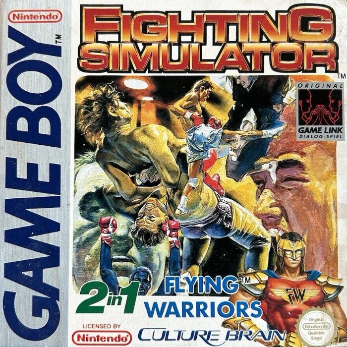Fighting Simulator 2 in 1 - Flying Warriors