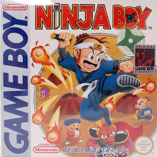Ninja Boy