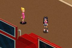 Image in-game
