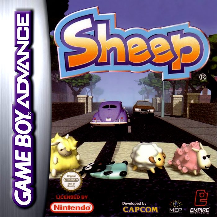 Sheep