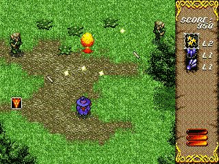 Image in-game
