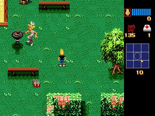 Image in-game