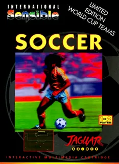 International Sensible Soccer