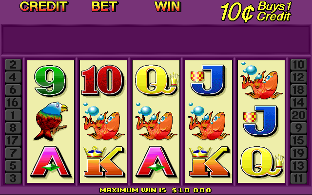 Cash Cat (0100676V, NSW/ACT)