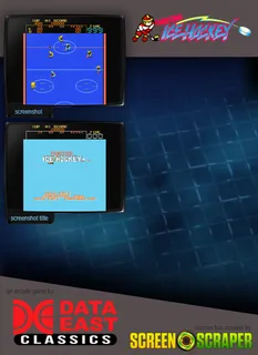 Fighting Ice Hockey - Dos