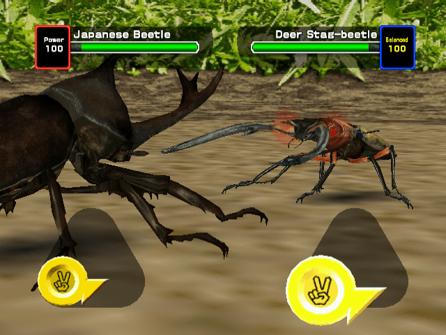 Image in-game