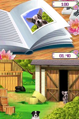 Image in-game
