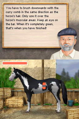 Image in-game