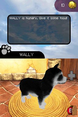 Image in-game