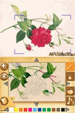 Image in-game