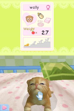Image in-game