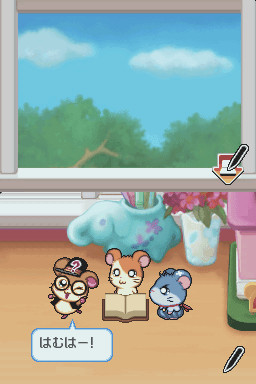 Image in-game