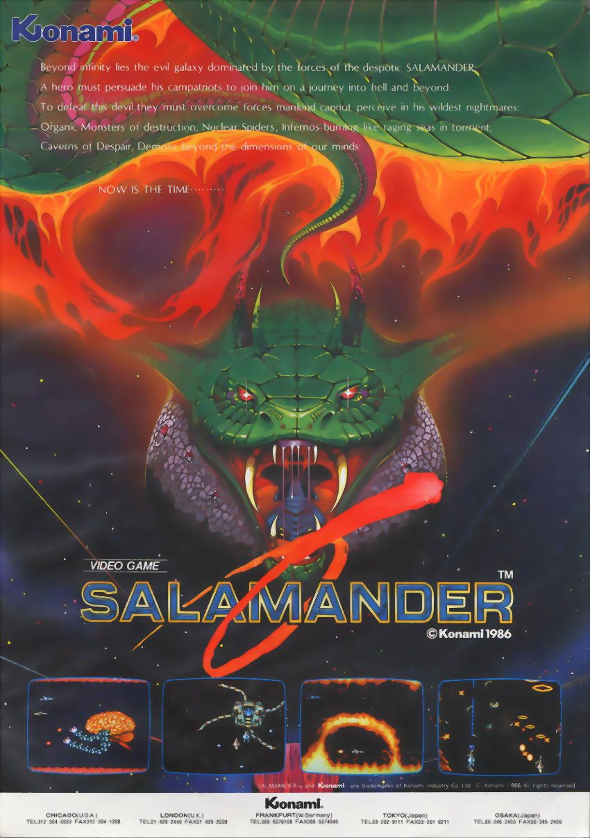 Salamander