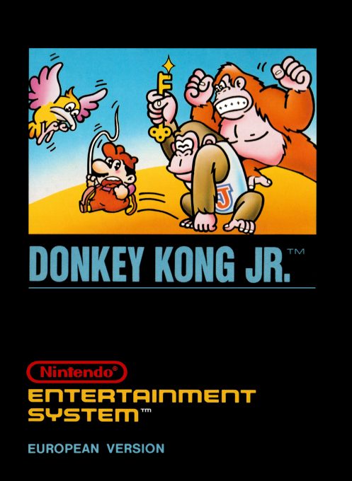 Donkey Kong Jr