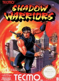 Ninja Gaiden
