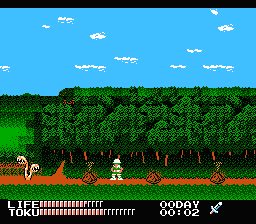 Image in-game