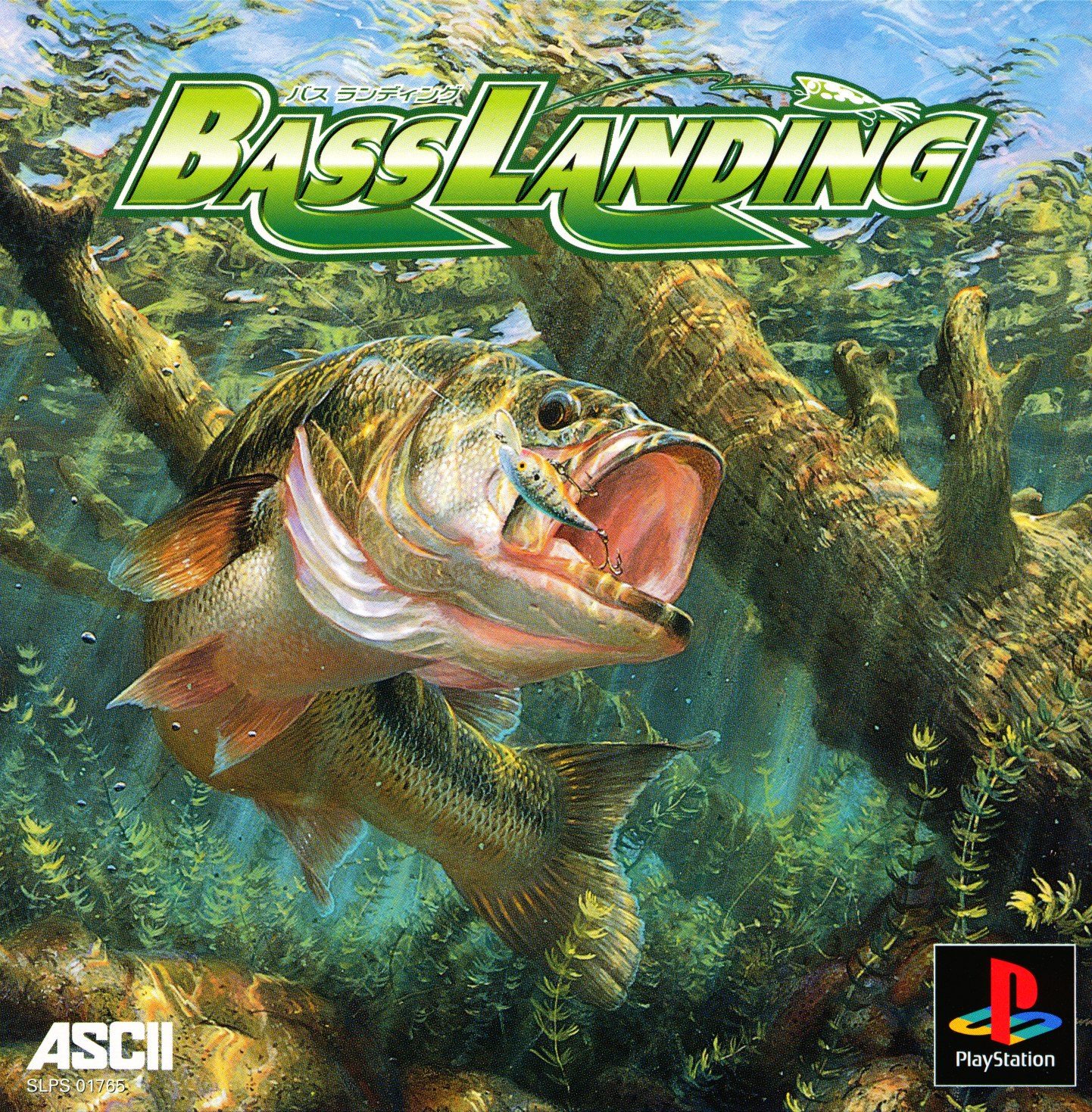 Bass Landing