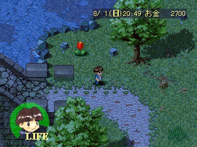 Image in-game