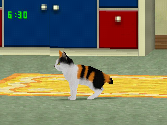 Image in-game