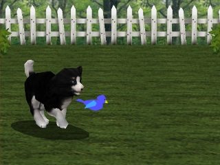 Image in-game