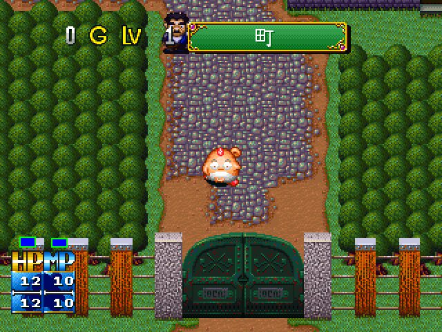 Image in-game