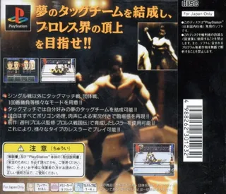 Pro Wres Sengokuden - Hyper Tag Match - Dos