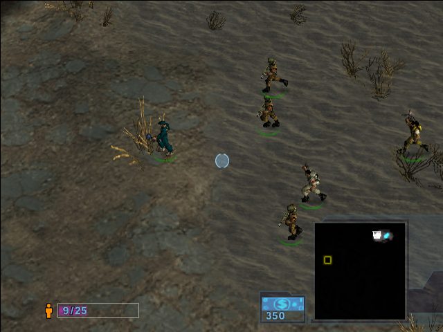 Image in-game
