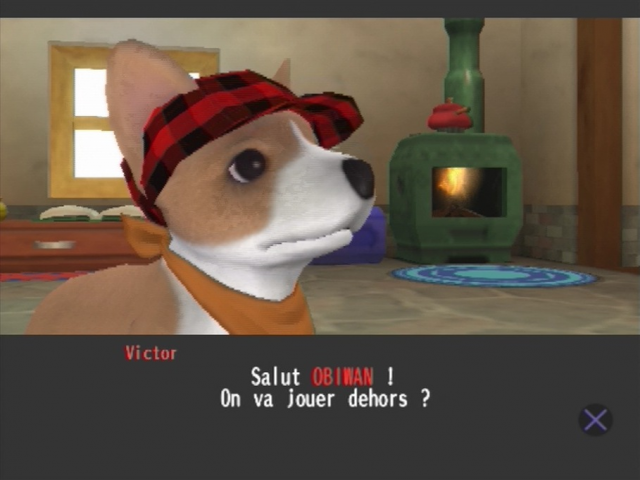 Image in-game