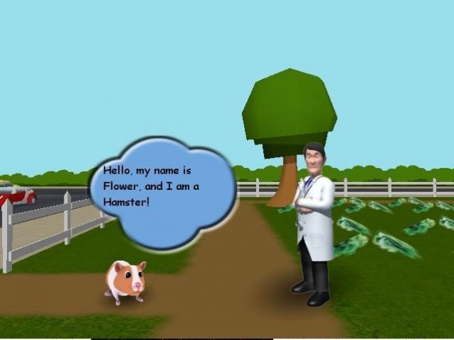 Image in-game