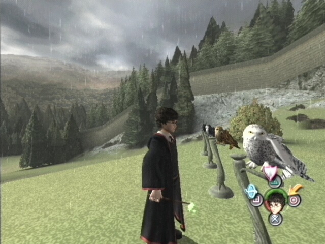 Image in-game