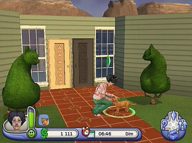 Image in-game