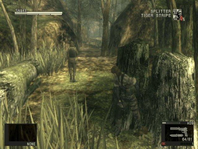 Image in-game