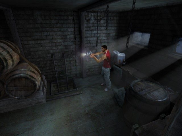 Image in-game